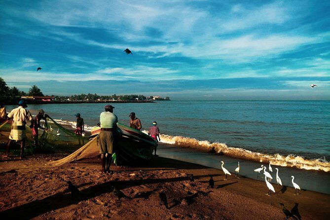 Negombo Day Tour - The Sum Up