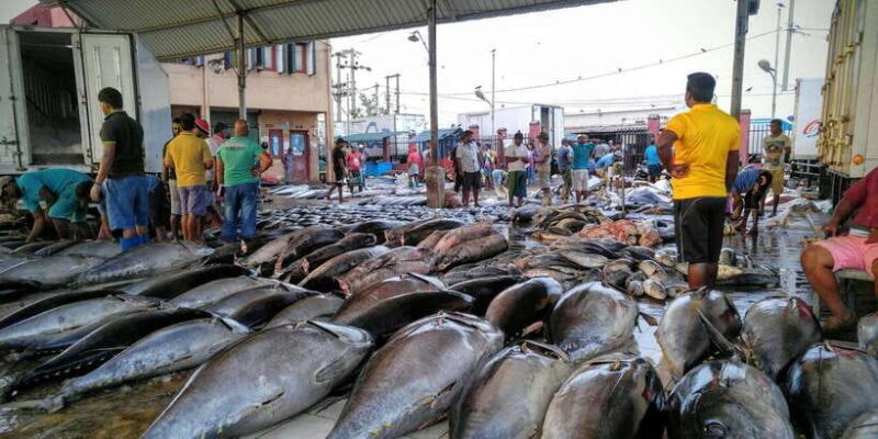 Negombo: Fishing Village Highlights Private Tour by Tuk Tuk - Exploring Negombo’s Fishing Village in a Tuk-Tuk: A Detailed Review