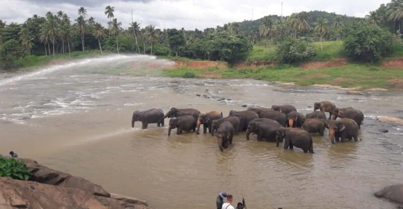 Negombo: Kandy and Pinnawala Elephant Orphanage Day Tour - FAQ