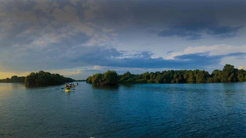 Negombo: Kayaking in the Lagoon - Final Thoughts: Is It Worth It?