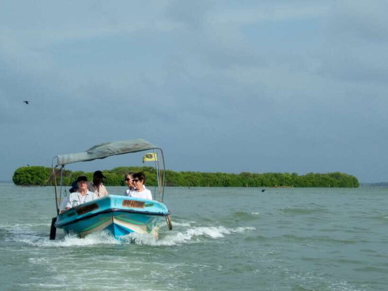 Negombo Lagoon (Mangrove ) Boat Excursion - Key Points