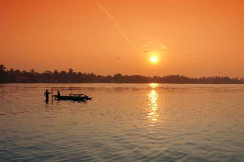 Negombo Lagoon (Mangrove ) Boat Excursion - Final Thoughts: Is This Tour Worth It?
