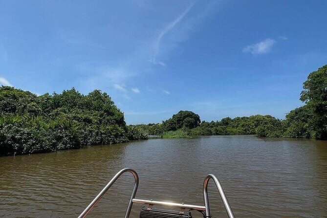 Negombo Lagoon & Muthurjawela Bird Watching Boat Tour - A Close Look at the Tour Experience