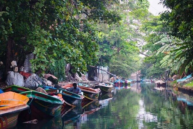 Negombo Lagoon & Muthurjawela Bird Watching Boat Tour - FAQs