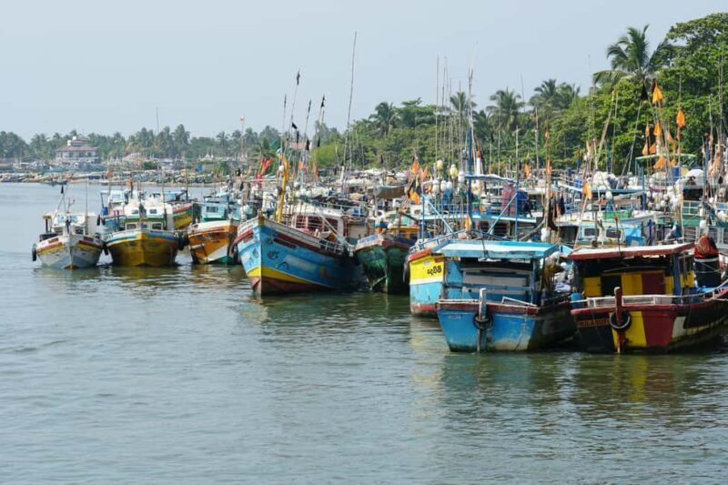 Negombo Private Tour: Market, Temples & Canal - Key Points
