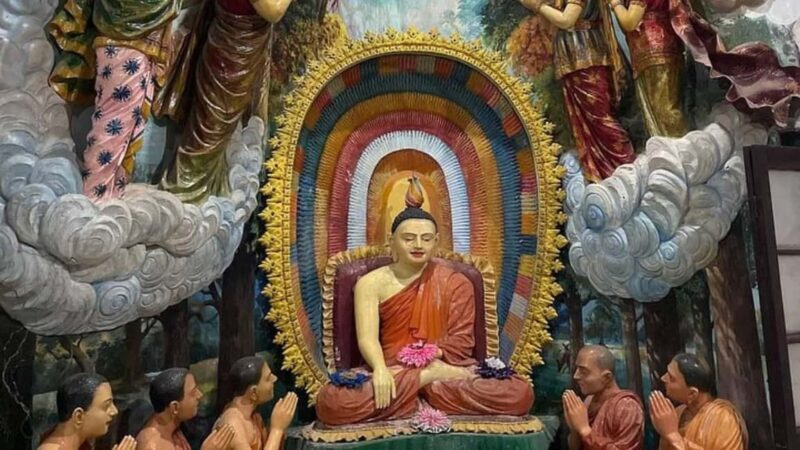 Negombo Private Tour: Market, Temples & Canal - Who Will Love This Tour?