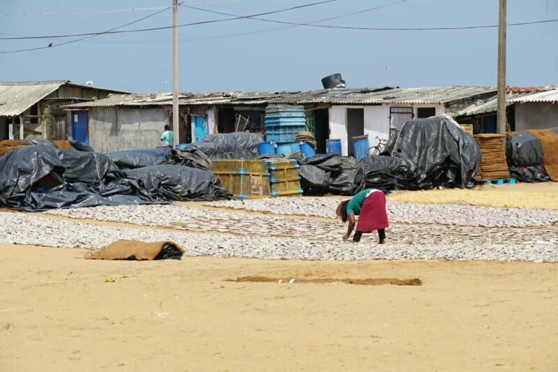 Negombo Private Tour: Market, Temples & Canal - The Sum Up