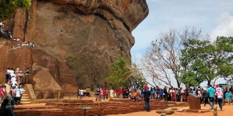Negombo: Sigiriya Rock and Minneriya National Park Day Tour - The Itinerary: A Close Look at What’s Included
