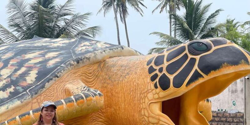 Negombo: Turtle hatchery, River safari, moon stone & Galle - Practical Tips for Your Day