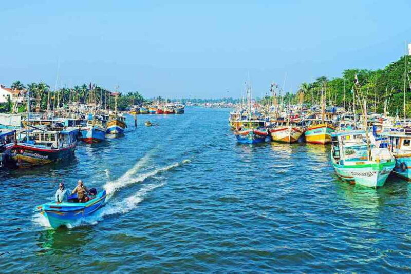 Negombo:Dutch Canal, Lagoon, Muthurajawela Private Boat Tour - Negombo: Dutch Canal, Lagoon, Muthurajawela Private Boat Tour – A Detailed Look