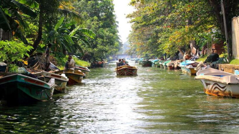 Negombo:Dutch Canal, Lagoon, Muthurajawela Private Boat Tour - Value for Money