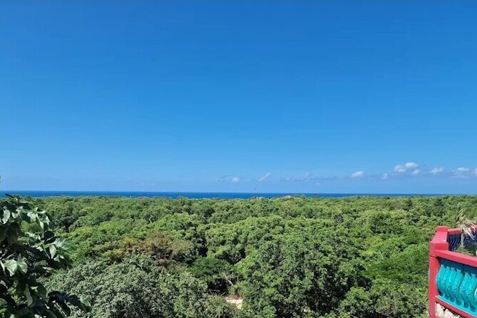 Negril Blue Hole Mineral Spring & Optional * medicine plant Tour - Who Should Consider This Tour?