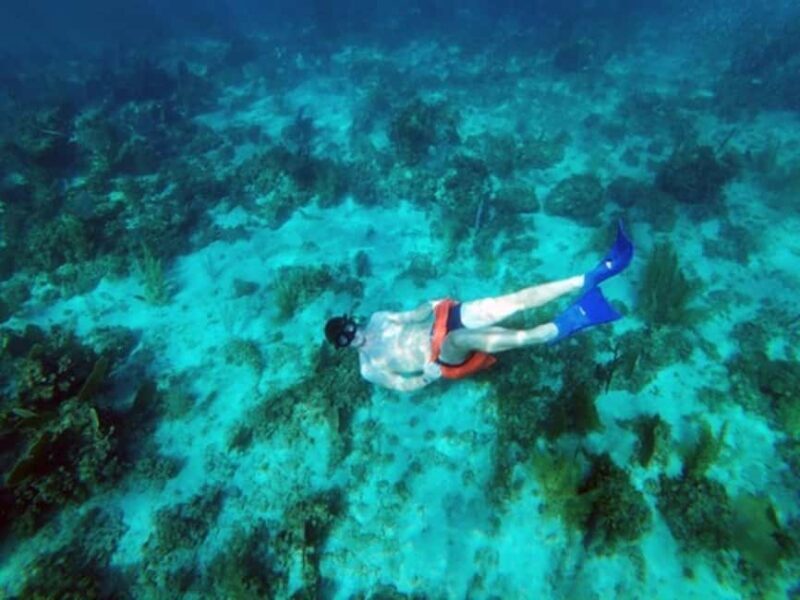 Negril Catamaran Morning Sail: Snorkeling & Pirates Cave - The Experience as a Whole