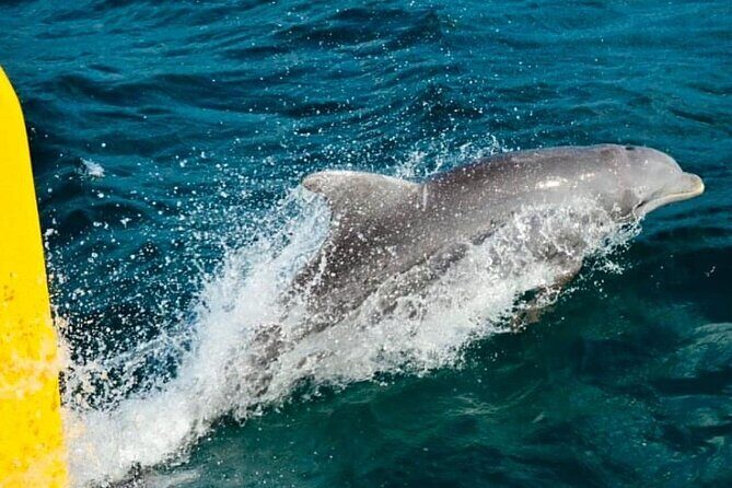 Negril: MORNING FAMILY Cruise Caves Swimming Snorkeling - The Sum Up