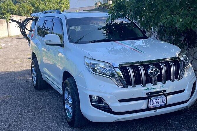 Negril Private Airport Transfer - Who Should Consider This Transfer?