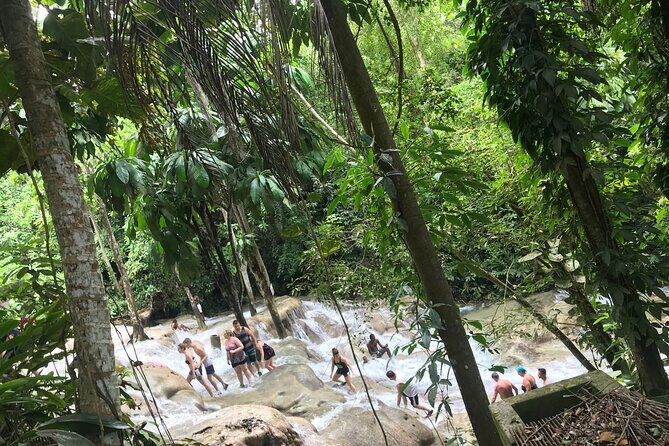 Negril to Dunn's River Small Group Tour - An Authentic Day at Dunn’s River Falls