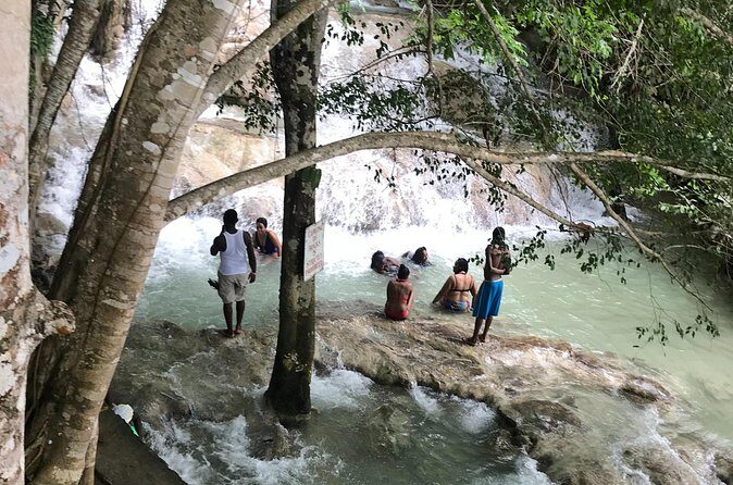 Negril to Dunn's River Small Group Tour - Who Should Consider This Tour?