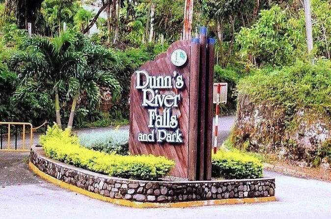 Negril to Dunn's River Small Group Tour - Final Thoughts
