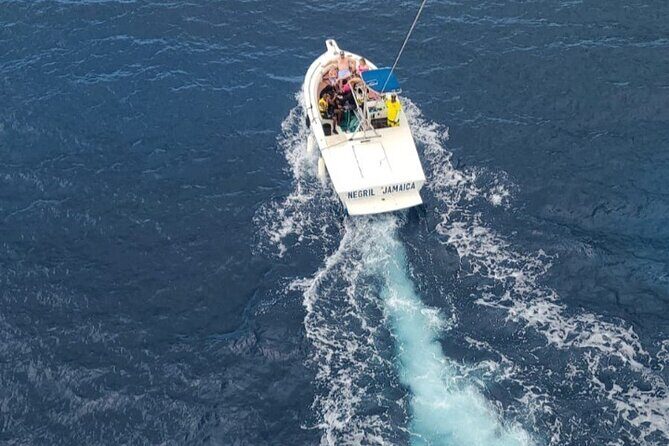 Negrils Seven Miles Beach, Rick's cafe and Parasailing Tour. - Who Is This Tour Best For?