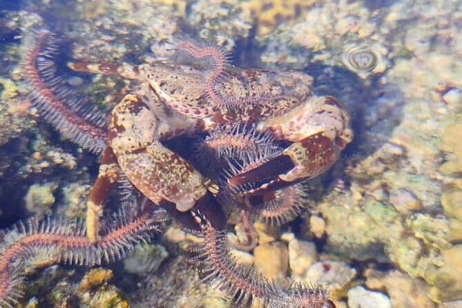 Neil Bridge Marine Trail - Final Thoughts: Is It Worth It?