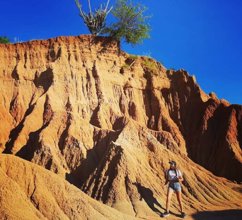 Neiva: Guided Day Trip to the Tatacoa Desert with Lunch - Who Would Love This Tour?