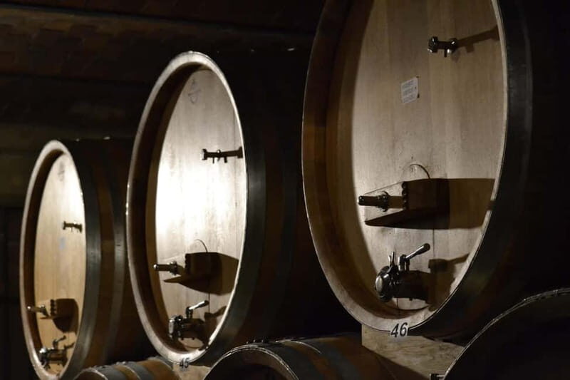 NEIVE: WINERY TOUR AND TASTING OF 5 WINES - A Closer Look at the Experience