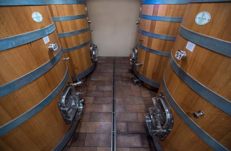 NEIVE: WINERY TOUR AND TASTING OF 5 WINES - Who Will Love This Experience?
