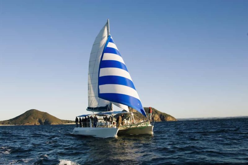 Nelson Bay: Dolphin Watch Cruise and Sail - The Sum Up: Who Should Book This Tour?