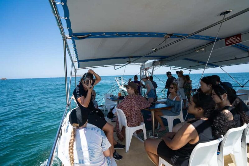 Nelson Bay: Marine Discovery Cruise with Snorkeling - Key Points