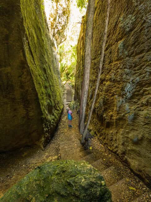 Nelson: Golden Bay in a Day Tour - An Honest Look at the Tour’s Strengths and Considerations