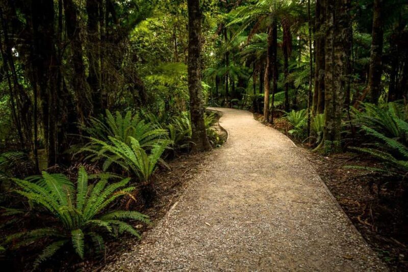 Nelson: Golden Bay in a Day Tour - The Sum Up