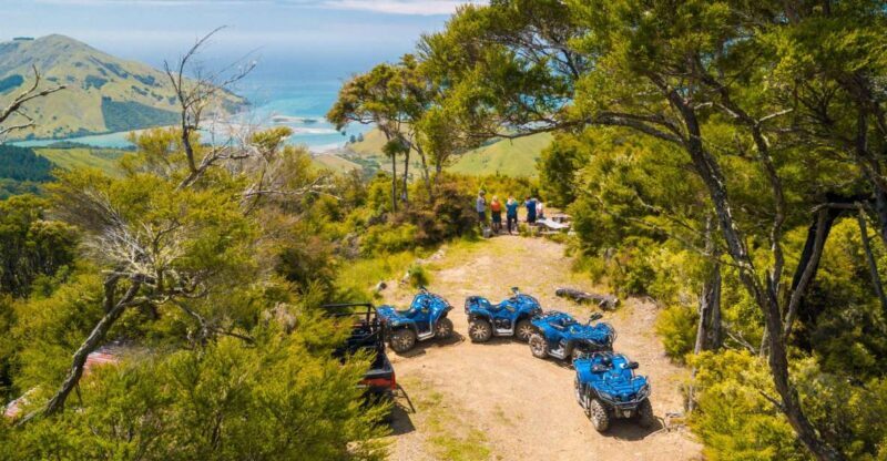 Nelson: Guided Quad Biking Tour Through Forest and Farmland - Nelson: Guided Quad Biking Tour Through Forest and Farmland