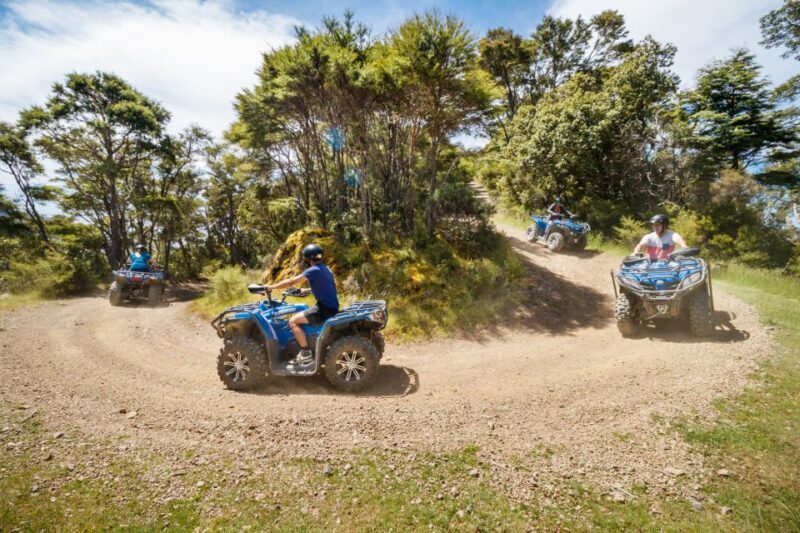Nelson: Guided Quad Biking Tour Through Forest and Farmland - Who Will Love This Tour?