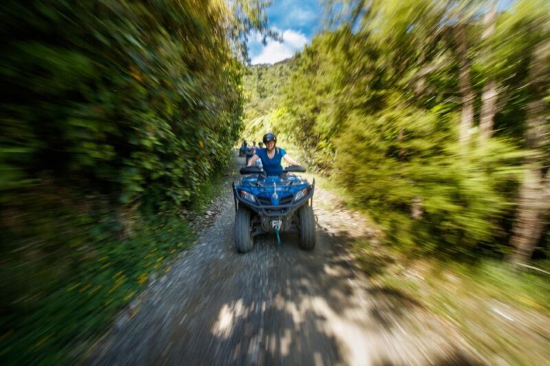 Nelson: Guided Quad Biking Tour Through Forest and Farmland - Practical Details and Considerations