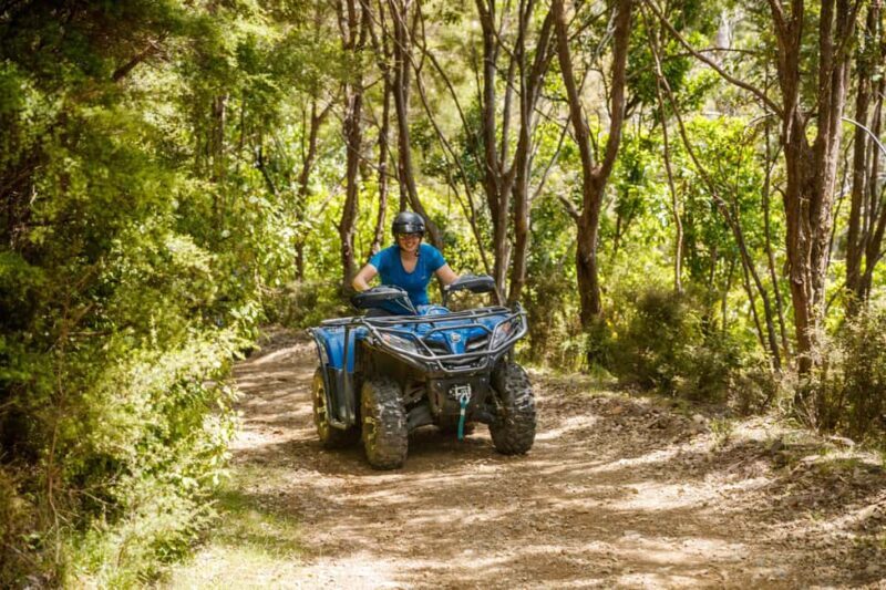 Nelson: Guided Quad Biking Tour Through Forest and Farmland - The Sum Up