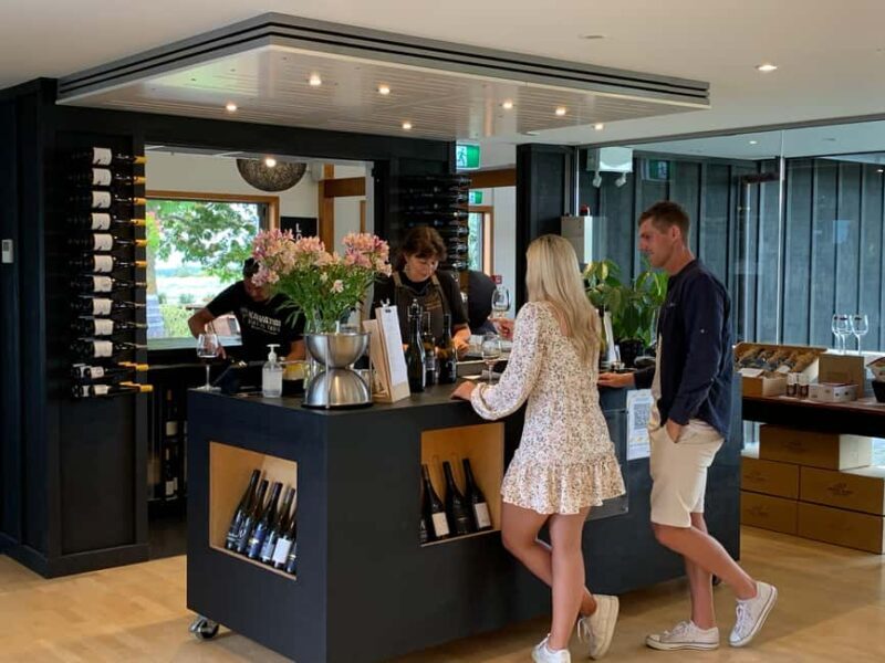 Nelson: Marlborough Wine Tour with Tastings and Lunch - Exploring the Marlborough Wine Region: What to Expect