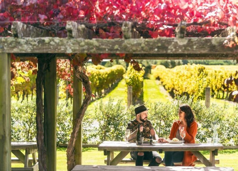 Nelson: Marlborough Wine Tour with Tastings and Lunch - Who Will Appreciate This Tour?