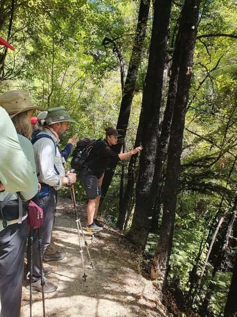 Nelson: Nelson Lakes National Park Day Trip with Lunch - Why This Tour Offers Real Value