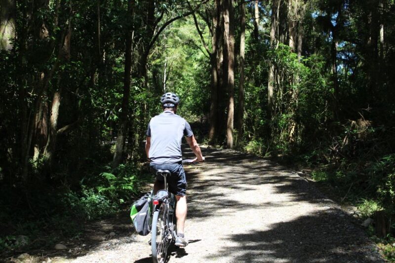 Nelson: Self-Guided Tunnel to Town Cycling Tour via Mapua - Rabbit Island and the Final Leg