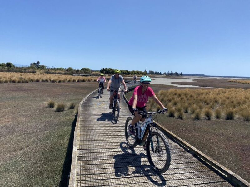 Nelson: Self-Guided Tunnel to Town Cycling Tour via Mapua - Who Will Love This Tour?