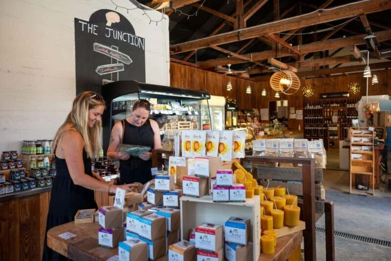 Nelson: Taste Tasman Food & Wine Tour with Lunch & Tastings - What Makes This Tour Valuable?