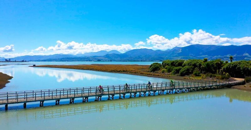 Nelson to Mapua: Full-Day Cycling Self-Guided Adventure - The Sum Up: Who Will Love This?