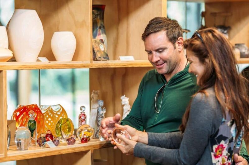 Nelson: Wine and Art Tour with Tastings and Lunch - Practical Details & Experience Quality