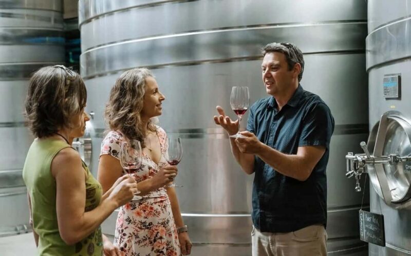 Nelson: Wine Tour with Tastings and Lunch - Nelson: Wine Tour with Tastings and Lunch – A Balanced Look