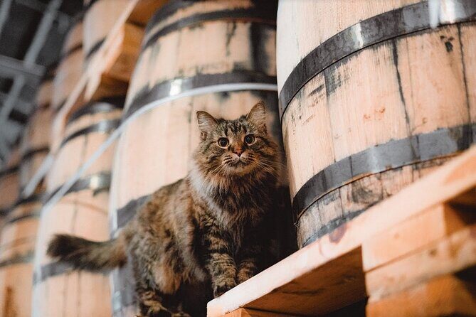 Nelson's Green Brier Distillery Guided Tour with Tastings - FAQs