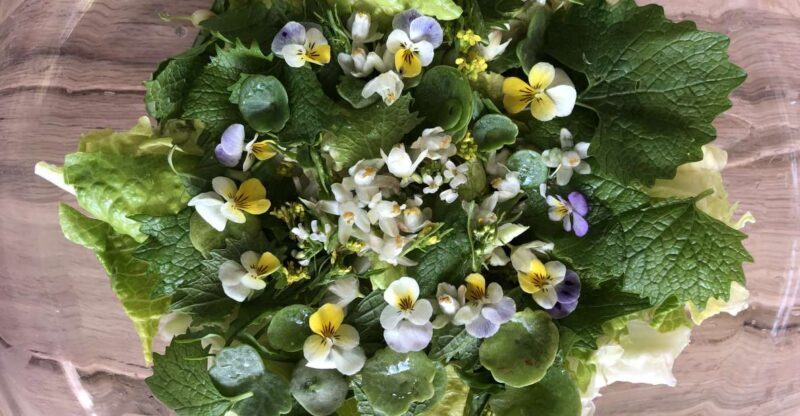 Nemi: Herb Harvesting and Cooking Class Experience - The Value of the Experience