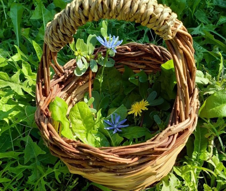 Nemi: Herb Harvesting and Cooking Class Experience - The Sum Up