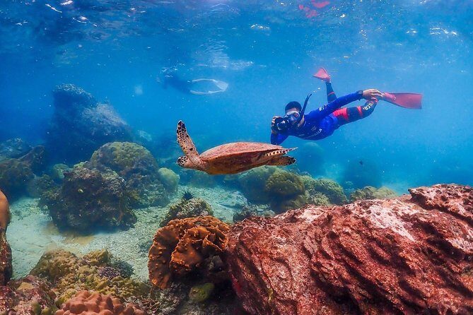 Nemo Island Experience with Drone Photos and Lunch - FAQ