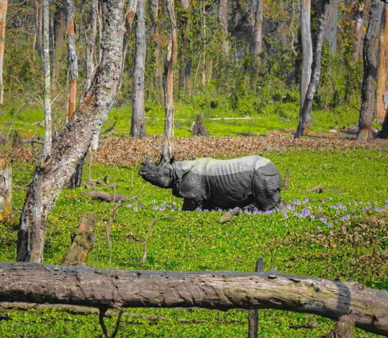 Nepal: 10-Day Yoga and Meditation Retreat Tour - Key Points