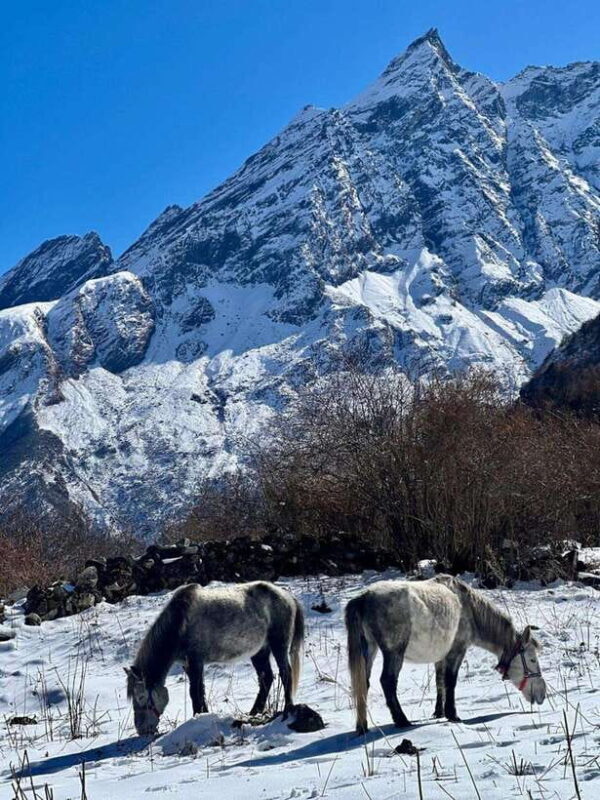 Nepal : 15 Days Manaslu Circuit Trek - Transportation and Logistics